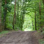 Les Cerisiers * Villé