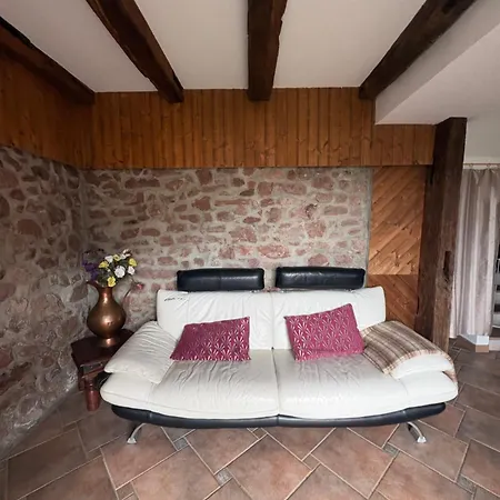 度假居 Les Cerisiers Villé