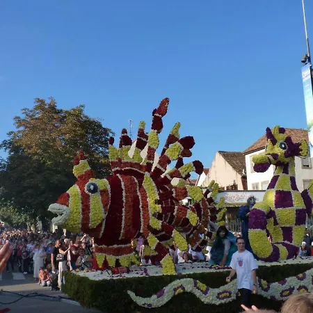 Les Cerisiers * Villé