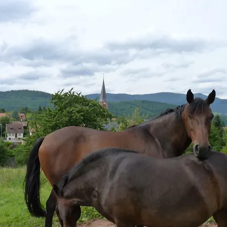 Holiday home Les Cerisiers