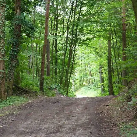 Les Cerisiers * Villé