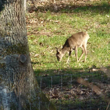 Les Cerisiers 別荘 Villé