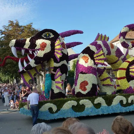 Les Cerisiers 別荘 Villé