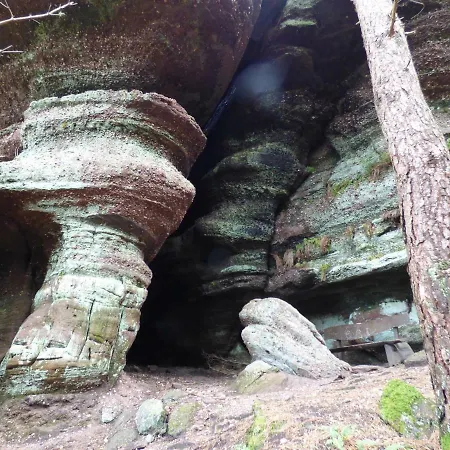 別荘 Les Cerisiers Villé