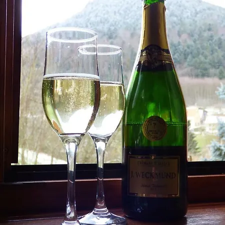 Les Cerisiers 別荘 *