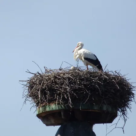 Les Cerisiers 別荘 *