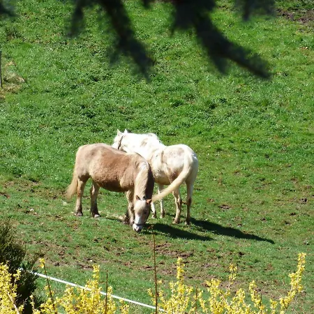 Les Cerisiers 別荘 *