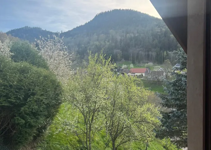 度假居 Les Cerisiers Villé