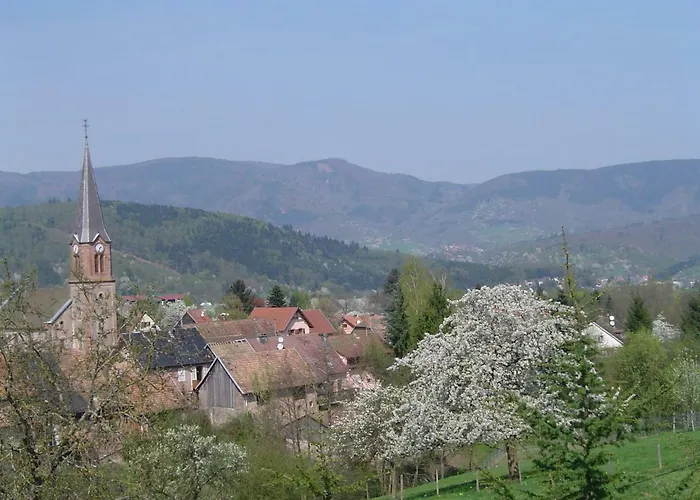 Les Cerisiers *