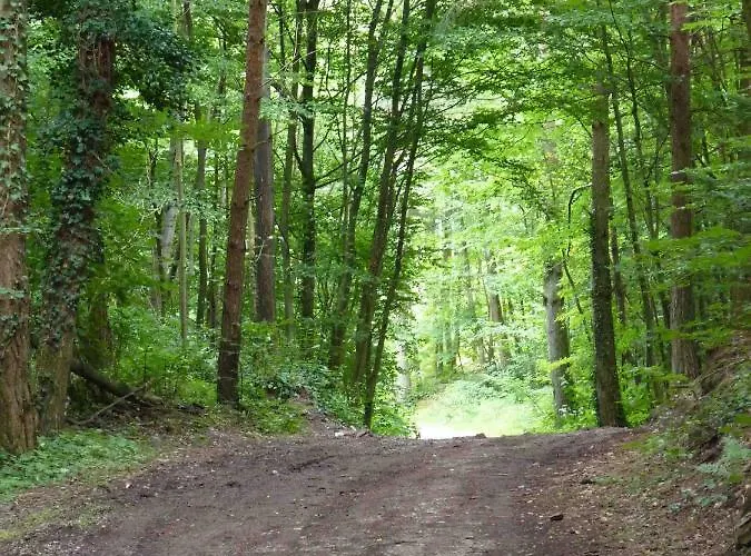Les Cerisiers * Villé
