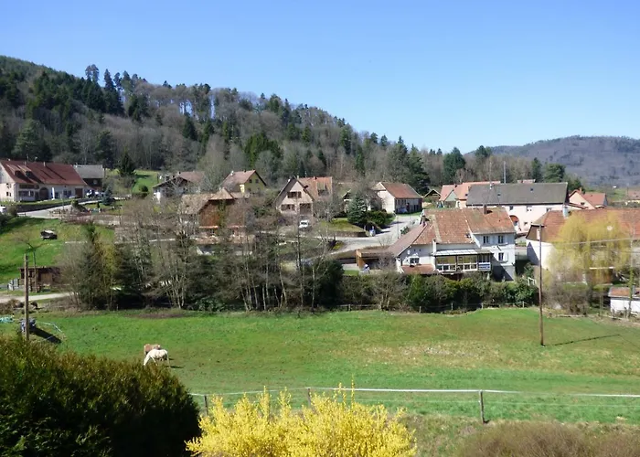 度假居 Les Cerisiers Villé